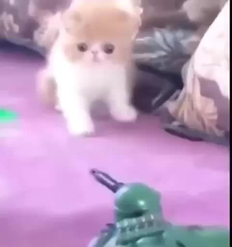 jayson (@poopy_pants_jay)’s videos with original sound - jayson