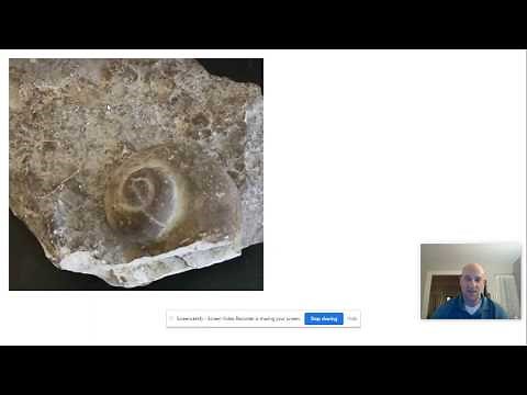 New York State Index Fossils | Regents Earth Science