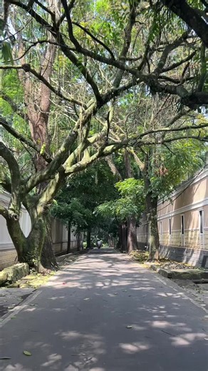 Menikmati Keindahan Ciumbuleuit di Bandung