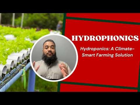Hydroponics: A Climate-Smart Farming Solution