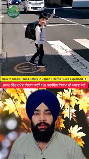 How to Cross Roads Safely in Japan | Traffic Rules Explained 🇯🇵#JapanSafety #SafeCrossing