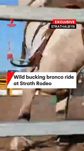 The terrifying moment a bucking bronco crashes into the arena fence at the Strath Rodeo has been captured on camera. Luckily, neither the rider, spectators nor horse were injured at the sold-out show in Strathalbyn. | 7NEWS Adelaide