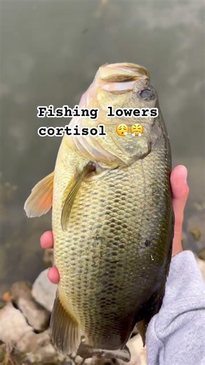 Fishing lowers cortisol #fishing #God #outdoors #fyp #lowercortisol #bass