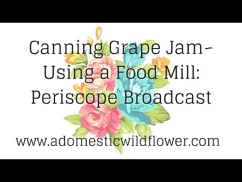 Canning Grape Jam~ Using a food mill: Periscope Broadcast from A Domestic Wildflower