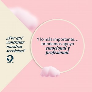 Estamos contigo para apoyarte en ese momento difícil. ❤️ | Funeral Pet | Facebook