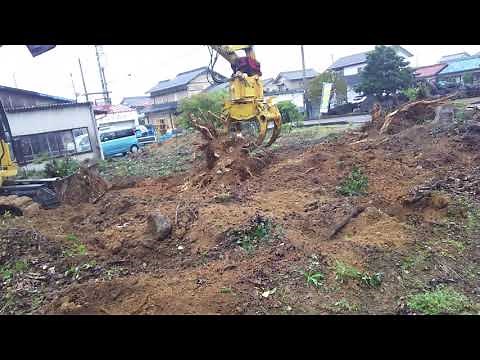大木の抜根　大型重機での動画