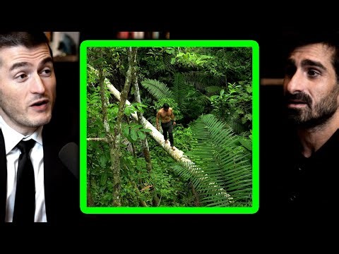 Paul Rosolie: Lessons learned from the Amazon Jungle | Lex Fridman Podcast Clips
