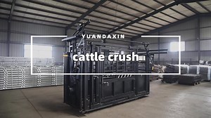 Farm Livestock Scale Scales Cattle Vet Equipment Design Fence Squeeze Crush Cattle Chute