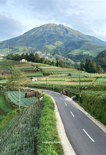 Jalan menuju nepal van java dan sukomakmur #sukomakmur #wisatamagelang #magelang #wisataindonesia #nepalvanjava