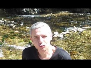 serge lama les ballons rouges cover yves pedro