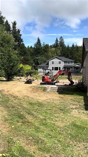 Lawn Replacement with Pollinator Friendly Meadow Lawn