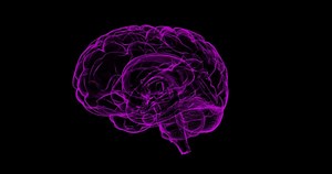 ¿Qué es y cómo funciona el cerebro? - Salud con Ciencia