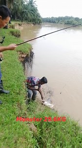 810K views · 15K reactions | Tips Memburu BEM Waktu Siang - Air keruh - Spot air dalam - Kerap berpindah spot - Teknik 'scan' dgn cara casting / menghanyutkan umpan di spot² yg difikirkan berpotensi strike - Penggunaan umpan yg sesuai (Keli/Puyu hidup) - Setup yg sesuai Kumaar Manikawasagam, mari laa kasi renew lesen BEM.. #rivermonsterhunter #baungekormerah #redtailcatfish #ikanpredator #invasivespecies #sungaiselangor #malaysiafishing #anglers | River Monster Hunter | Facebook