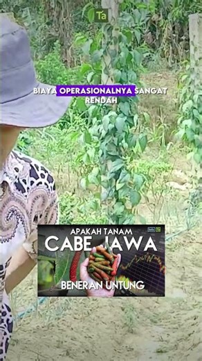 A one-time investment of 20 million rupiah, and a yearly return of 50 million rupiah? Check the m...