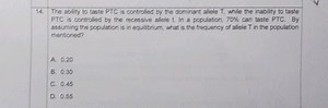 The ablity to taste PTC is controlled by the dominant aliele T,... | Filo