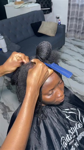 Mini Braids on Natural Hair: Easy Protective Hairstyle Ideas