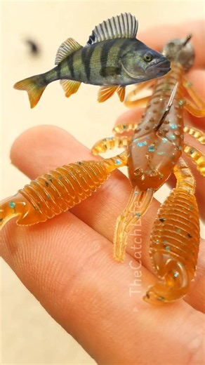How to Rig a Silicone Craw for Big Perch! 🦞
