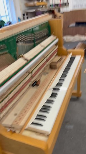 The Sycamore Gap project. We are hoping to make the shortlist of craftspeople who can create a longstanding memorial for the tree by using its wood to make a piano! | Cavendish Pianos