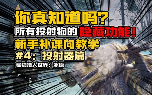【MHWI】新手开荒补课向教学【投射器篇】（2023年最新版）