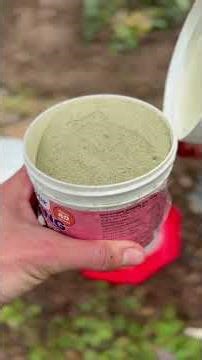 Tips for Cleaning Chicken Waterers