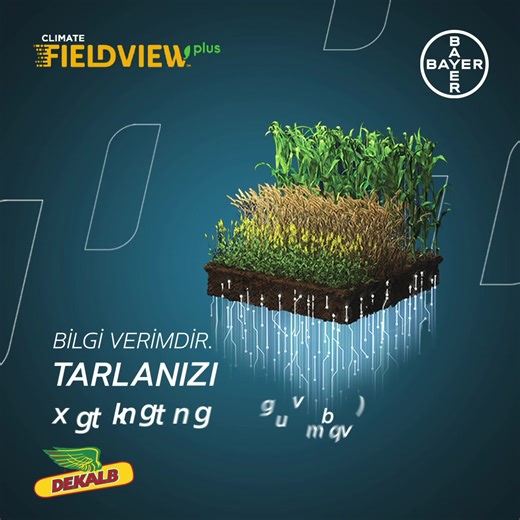 Tarladaki her adımı kontrol altında tutmak mümkün mü? 🌱📊 📢 FieldView Plus, uydu görüntüleri ve akıllı haritalarla her parselden maksimum verim almayı sağlar. 🌱 📊 Ekim, gübreleme, ilaçlama ve hasat verilerini takip ederek tarla uygulamalarını kolayca analiz edebilirsiniz. 👉FieldView Plus hakkında ayrıntılı bilgi almak için Bayer / DEKALB Satış Temsilcilerimiz ile iletişime geçebilirsiniz. Bölgenizdeki satış temsilcisine ulaşmak için lütfen tıklayın: https://bit.ly/4imIuS7 | Bayer Crop Scien