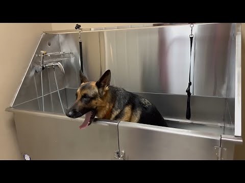 How to Install a Dog Washing Station with the Correct Plumbing Attached!