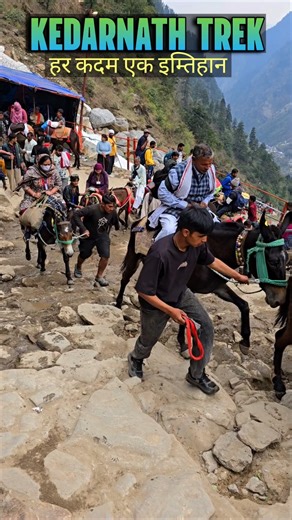 Kedarnath Trek – Har Kadam Ek Imtihan | Kedarnath yatra update | Kedarnath yatra #kedarnath #shorts