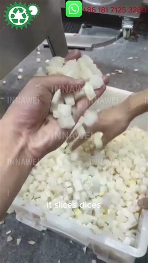 Automatic Vegetable Dicing Slicing Equipment