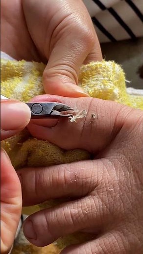 Easy Nail Art Tutorial #1. #nails #satisfying #nailart
