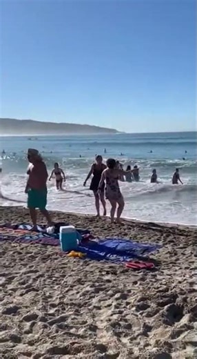 Whale Breaches Too Close to Beach – Wave Soaks Everyone! 😱🐋