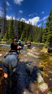 101K views · 3.2K reactions | Wyoming wild rides with horses and mules. Saddle up and explore the untamed beauty of the West! #CrossCountryEquine #HorsebackAdventures | Cross Country Equine | Facebook