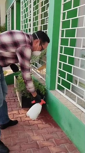 Max Force Gel Bayer 30g Cockroach Killer + X-termin Flow