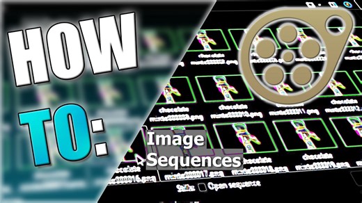 HOW TO: Exporting Image Sequences [SFM]