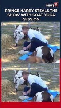 Prince Harry Tries Goat Yoga, Joins Kids for Fun at Charity Festival in Warwickshire, UK | N18S
