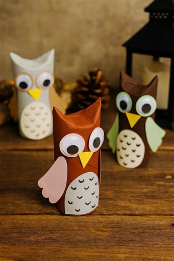 139K views · 1.1K reactions | Save those toilet paper rolls — you won’t believe how cute these owls turn out! This simple craft is perfect for kids of all ages and makes an adorable fall or forest-themed activity. 炙 https://onelittleproject.com/paper-roll-owl/ | One Little Project | Facebook