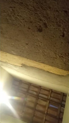 14 de março de 2026