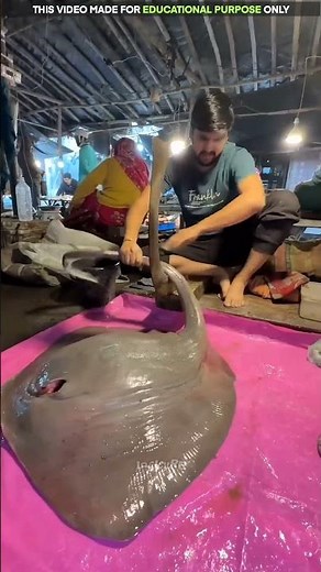 Why fishermen don’t throw it