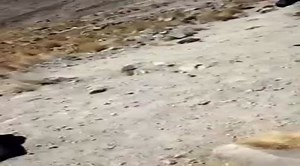 Downhill running epic FAIL