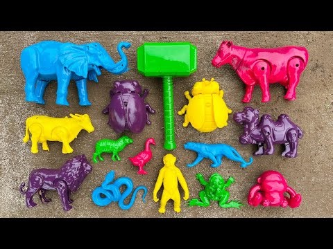 Memandikan hewan raksasa dan konyol - Reaksi mereka bikin kaget!