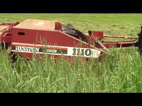 Cutting Hay 2017 First Cut Hesston 1110 and John Deere 5055d
