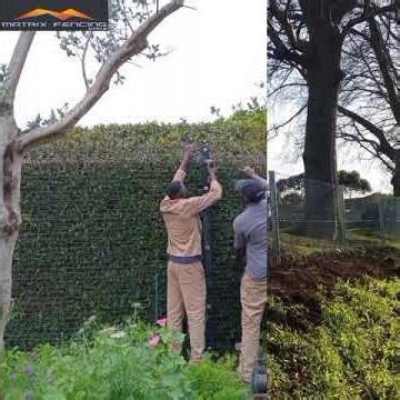 Welcome to Matrix Fencing - Expert Fencing Installation & Services