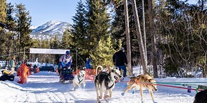 Idaho Sled Dog Challenge cancelled midrace due to avalanche risk
