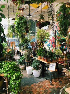 9.3K views · 61 reactions | This restaurant turned its indoor dining space into a plant shop! Learn more here  bit.ly/YukoKitchenSLA | Secret Los Angeles | Facebook