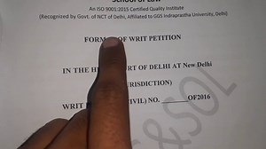 Sample Petition For Writ Of Habeas PDF Form - FormsPal