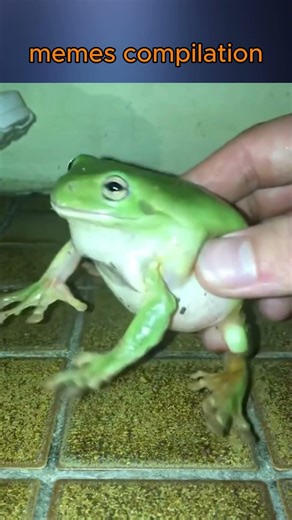 memes compilation daily #funny #memes #dailylaughs #memescompilation