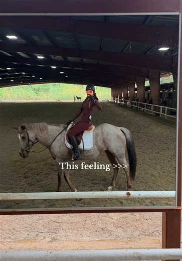 Essential Horse Training Techniques for Equestrian Riders