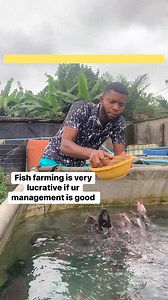 Fish farming is the most profitable livestock farming if your management is good | Fish king