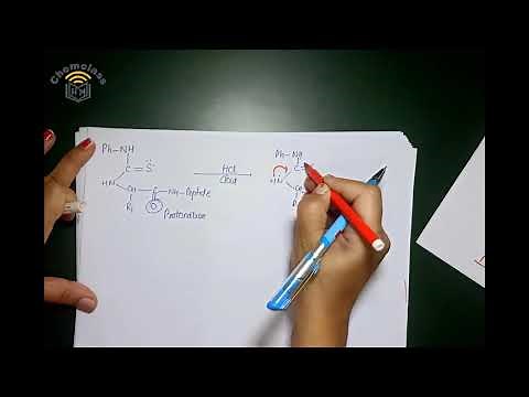 Amino Acid sequencing-Edman method