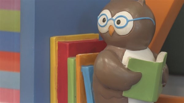 New library card policy goes into effect for Hillsborough County