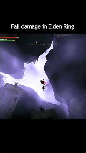 Enemy damage comparison #eldenring #eldenringgameplay